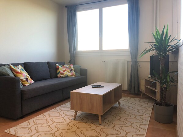 TV, books, video library