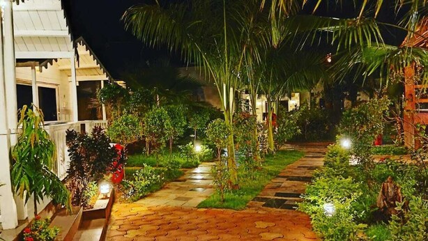 A nighttime garden pathway with a paved walkway, surrounded by lush greenery and palm trees. - JP Resort (Arambol)