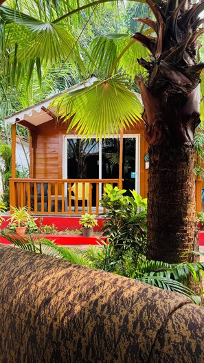 Exterior - JP Resort (Arambol)