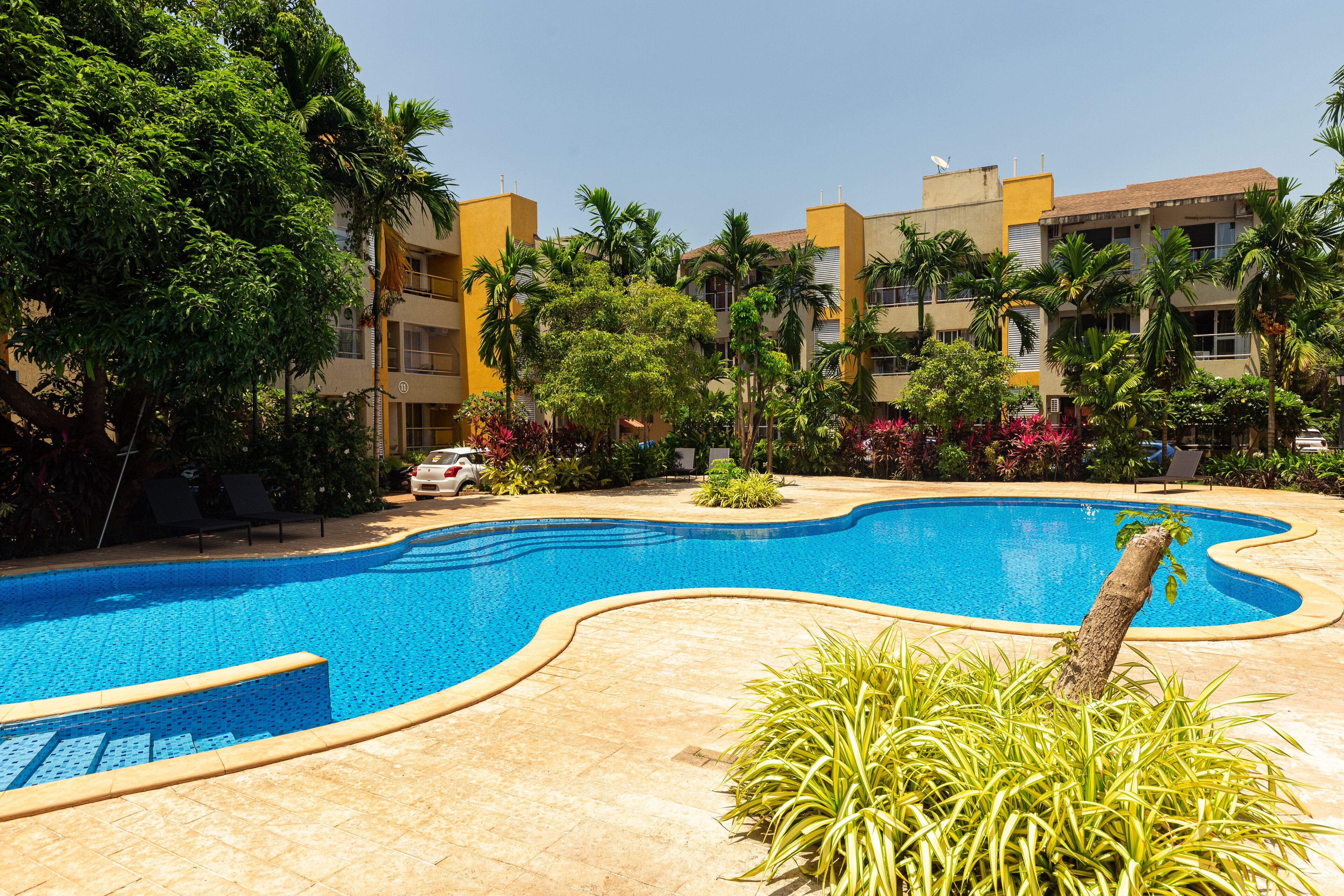 حمّام سباحة خارجي