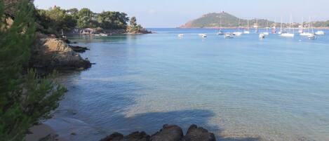 Una spiaggia nelle vicinanze