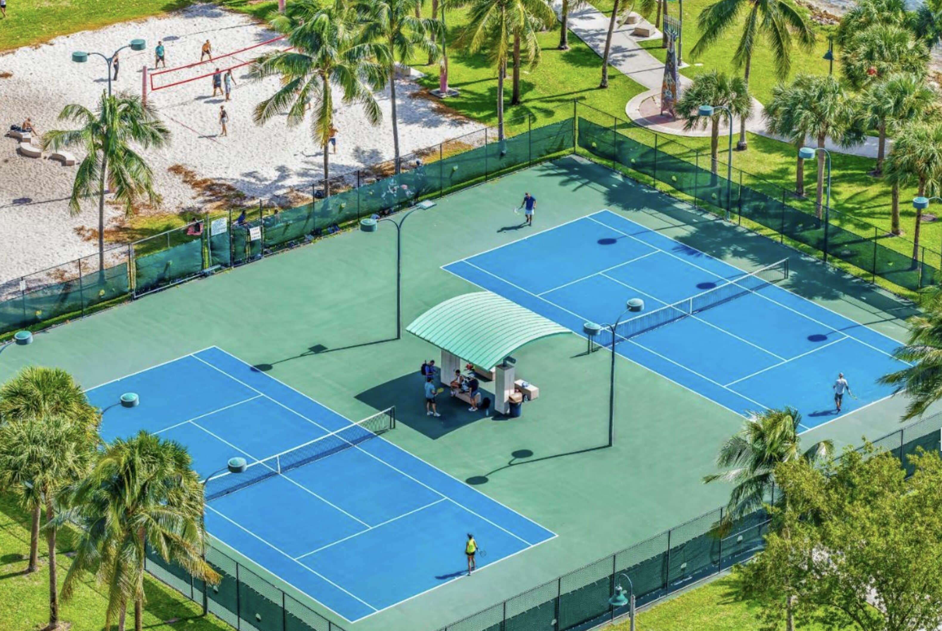 A tennis court with a net, surrounded by palm trees and a beach.