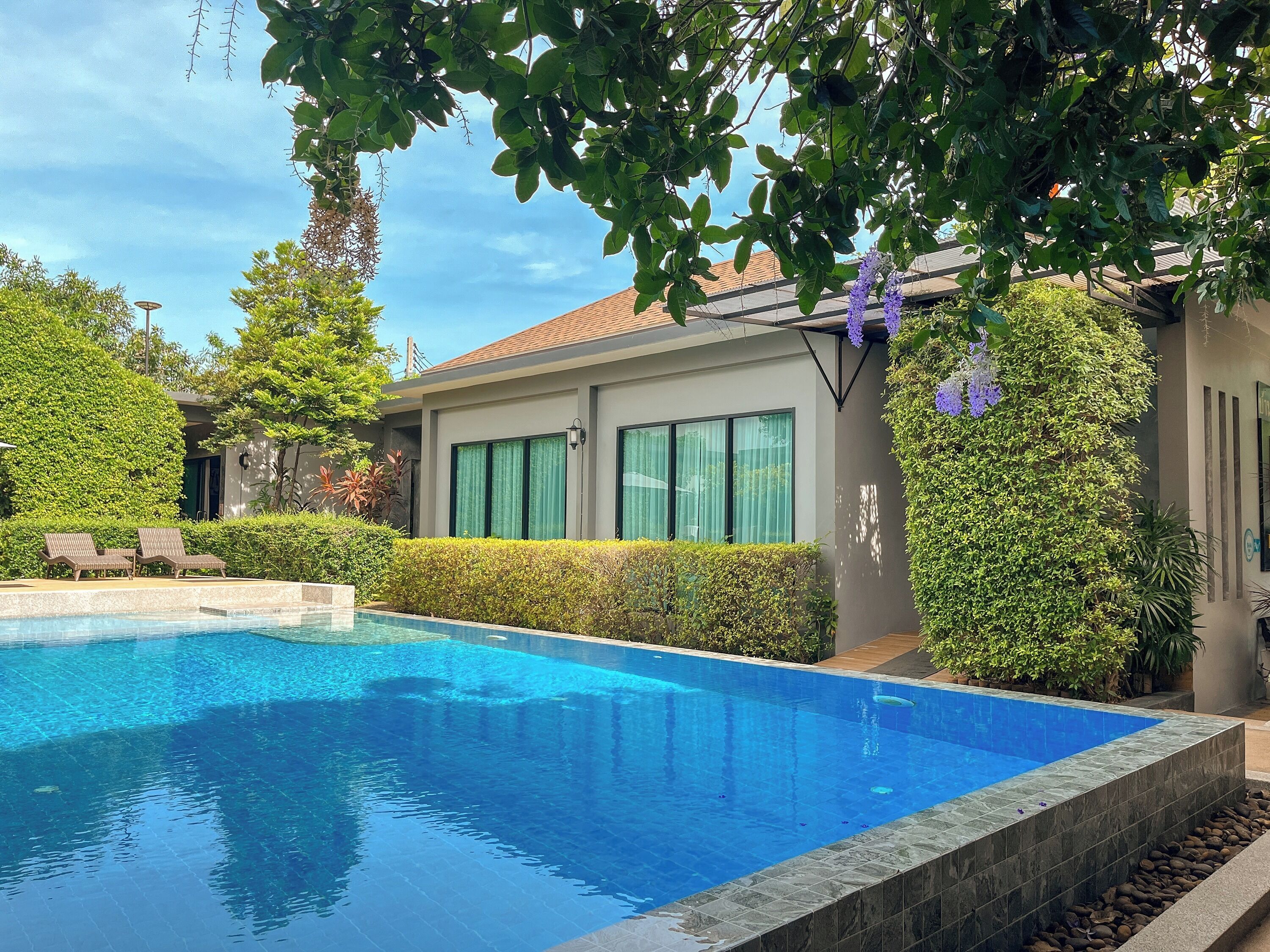 A modern house with a swimming pool, surrounded by well-maintained hedges and trees.