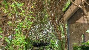 Un sendero en un jardín que lleva a una estructura de ladrillo con un banco de madera y luces colgantes.