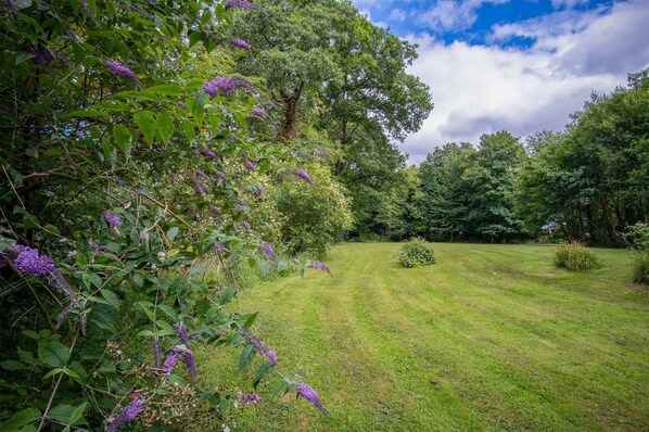 Un jardín bien cuidado con diversas especies de árboles y arbustos, un césped impecable y un cielo despejado.