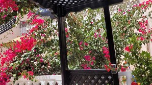Een tuinhuisje met een openspelende dak, omgeven door weelderige begroeiing en felroze bougainvilleablaadjes.