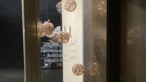 A glass door entrance with decorative lights and a reindeer sculpture.