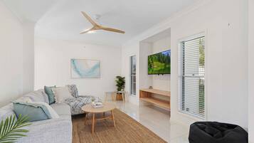 Smart TV, Netflix, streaming services