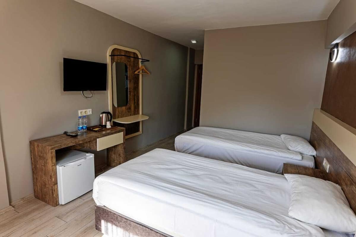 Standard Twin Room | 1 bedroom, minibar, individually decorated, individually furnished