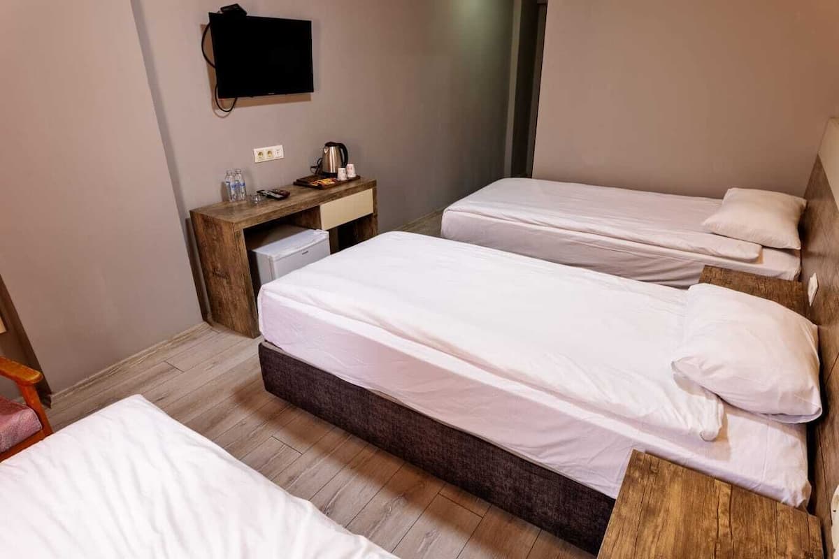 Deluxe Triple Room | 1 bedroom, minibar, individually decorated, individually furnished