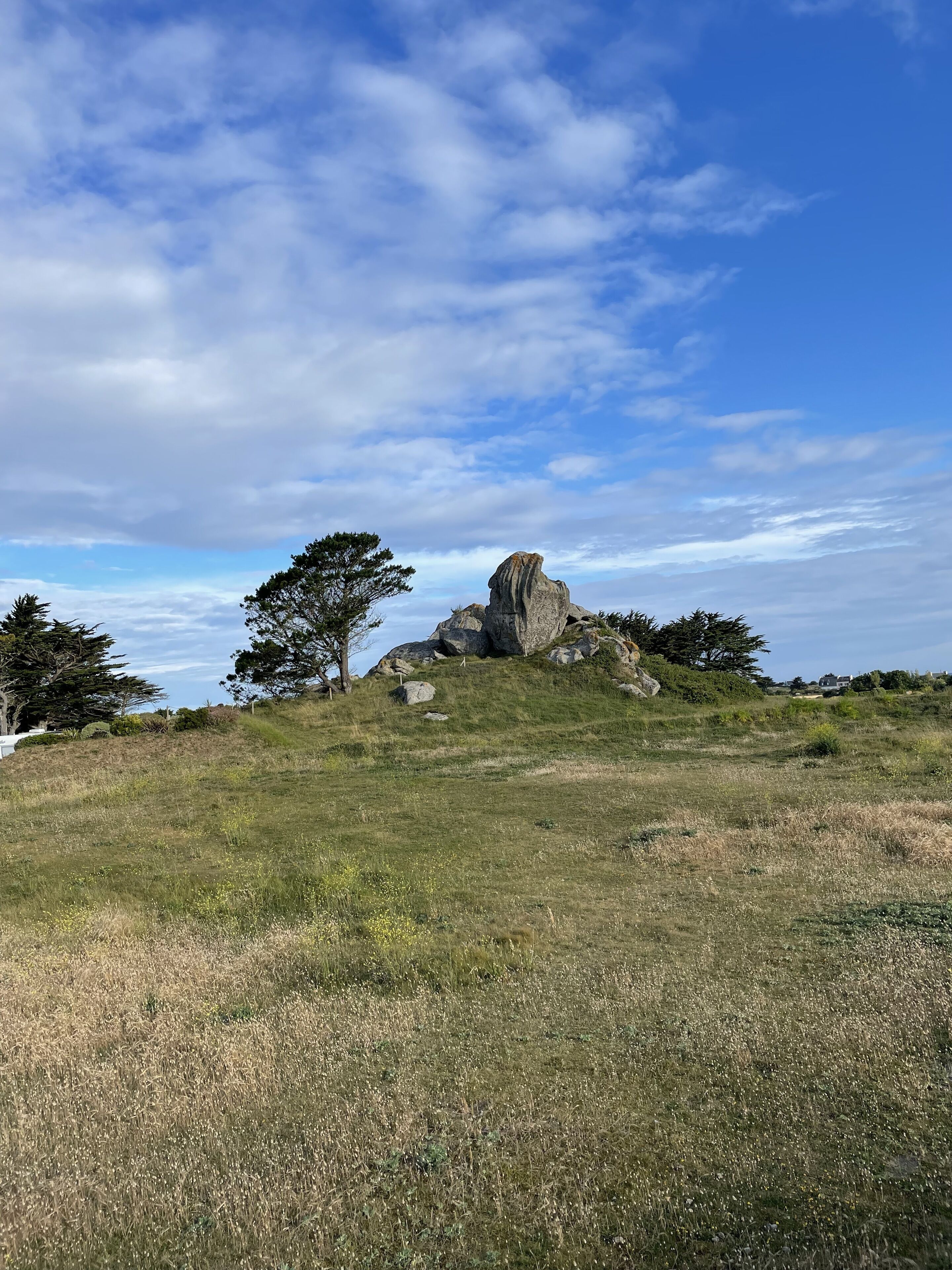 A grassy field with a prominent rock formation and trees.