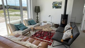 Télévision, cheminée, lecteur de DVD, livres