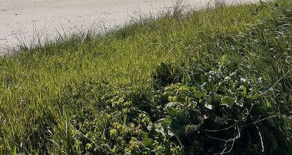 Roc'h Kleguer Bihan house a few steps from the sea