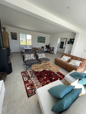 テレビ、暖炉、DVD プレーヤー、書庫