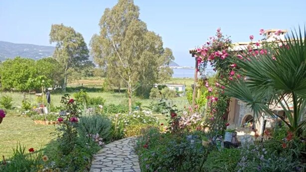 Un camino de piedra que serpentea por un jardín con diversas plantas y flores.