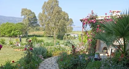 Captivating 1-bed Apartment in Lefkada