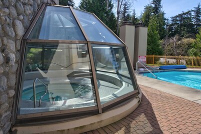 1 bedroom / 1 bathroom Suite, Marquise 313, Pool, Ski in/Ski out on Blackcomb Mountain