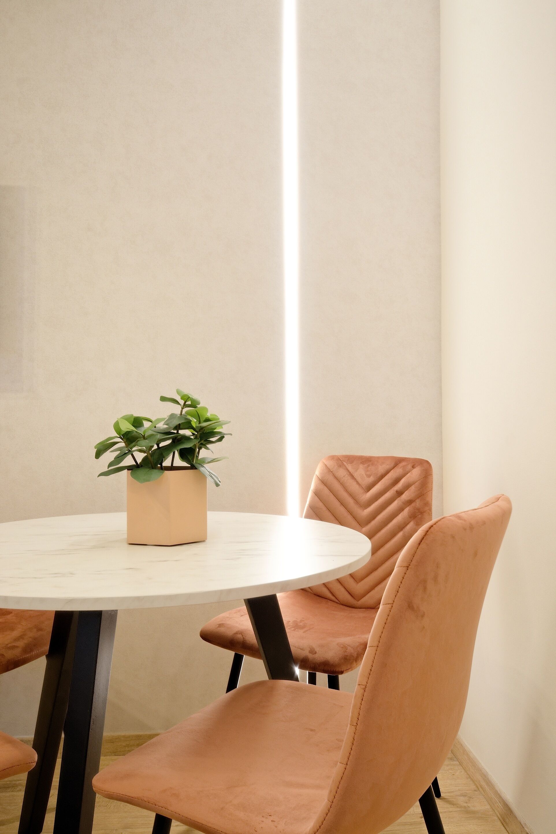 Ein runder Tisch mit einem Blumentopf, zwei gepolsterten Stühlen und einer hellen Wand.