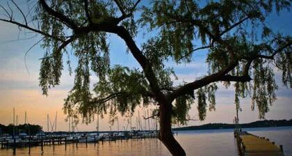 Beautiful Annapolis 3 Bedroom Basement Apartment, Super Clean, Super Spacious !!