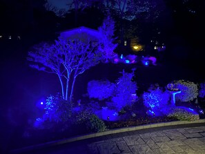 Terrain de l’hébergement 