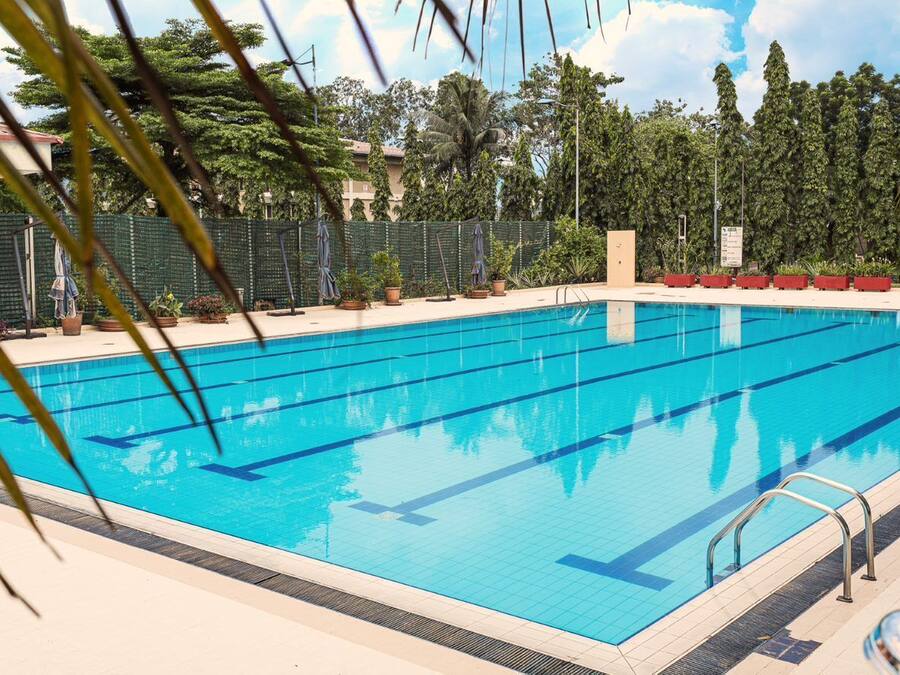 A clear blue swimming pool with lane markers, surrounded by a green fence and potted plants.