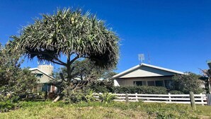 A residential area with a large tree in the foreground, a white house with a sloped roof, and a clear blue sky.