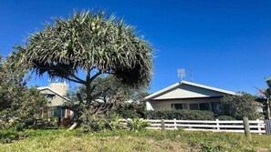A residential area with a large tree in the foreground, a white house with a sloped roof, and a clear blue sky.