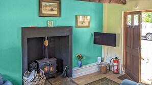 Una sala de estar acogedora con chimenea, televisión y una cesta de mimbre.