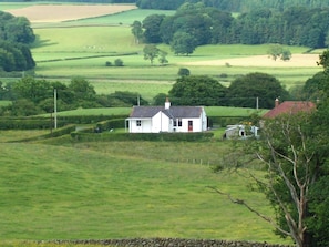 Een wit huis met een rode deur, omgeven door groene velden en bomen.