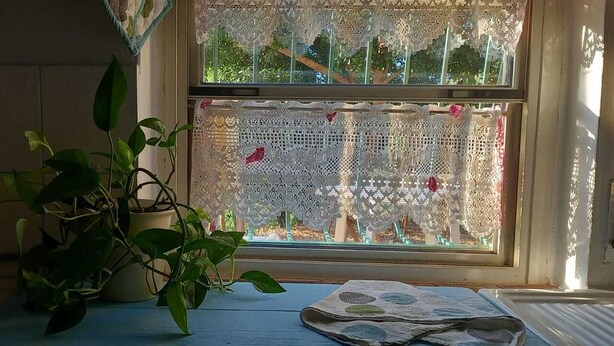 A room with a window covered by lace, a potted plant, and a table with a newspaper. - Countryside italian villa, close to the sea (Jerzu)