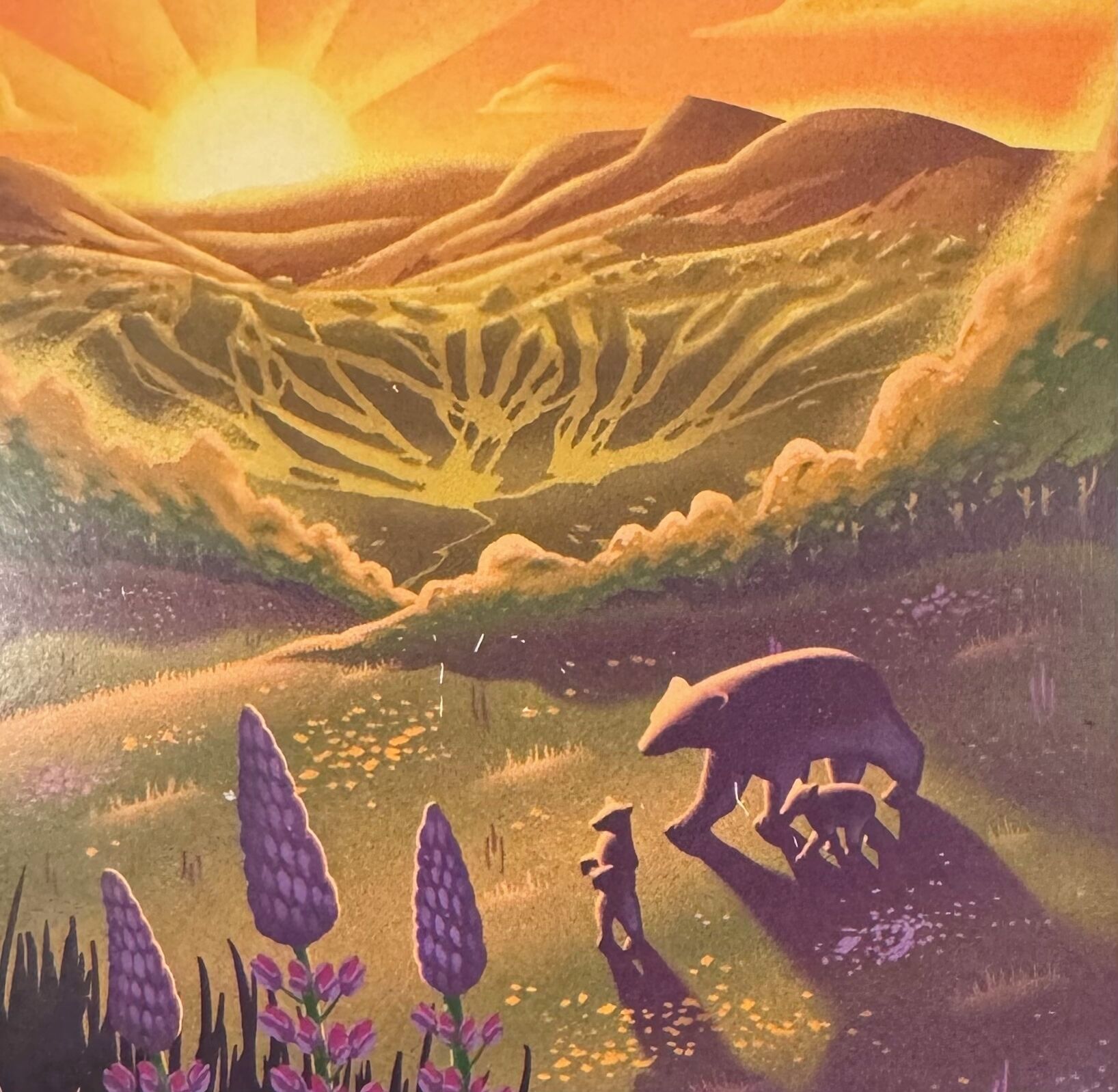A landscape with rolling hills and a bear in the foreground.
