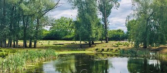 3 chambres Ă coucher Ă Blacknest, near Alton