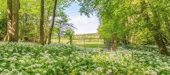 A perfect base for a couples or families looking for an adventure.