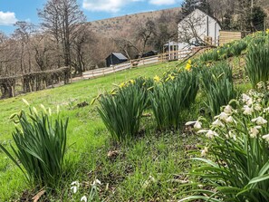 Unclassified image, 3 of 32, button - Middle Hanter - UK37355 (Stanner, near Kington)