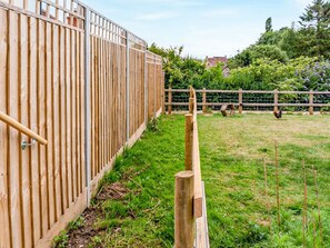 Property grounds - Fig Tree Shepherds Hut (Bridport)