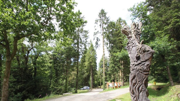 A forested area with a paved path and a large, intricately carved wooden sculpture on the right.
