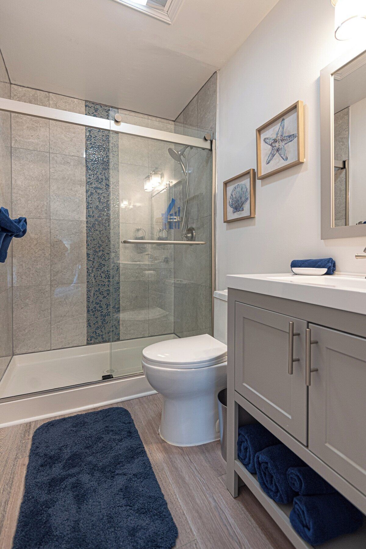 Shower, hair dryer, towels, toilet paper