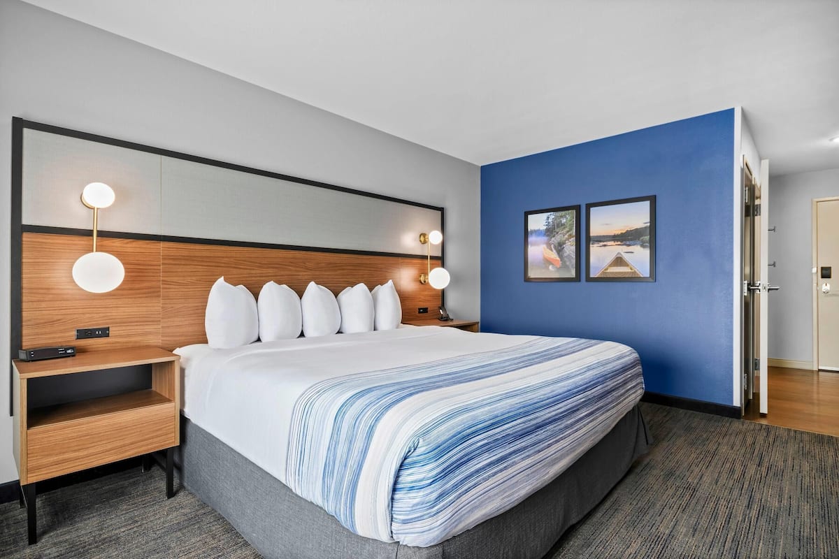 Kamer, 1 kingsize bed, toegankelijk voor mindervaliden, niet-roken (Mobility, Roll-In Shower) | Pillowtop-bedden, een bureau, een laptopwerkplek