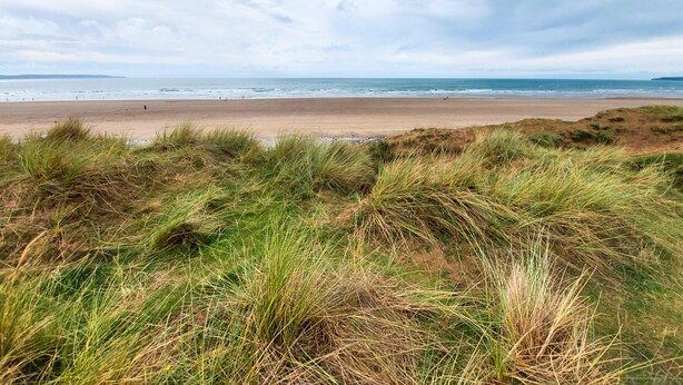 A beach with dunes and the ocean.