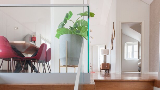Un interior moderno con zona de comedor que incluye sillas rojas, una planta grande en maceta y una partición de vidrio.