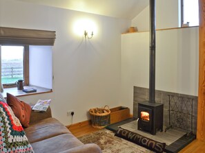 Télévision, cheminée