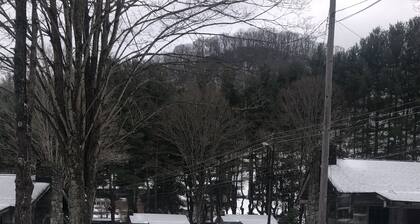 Cabin 1 - 1 Bedroom Cozy Cabin with Mountain View in Pioneer Village