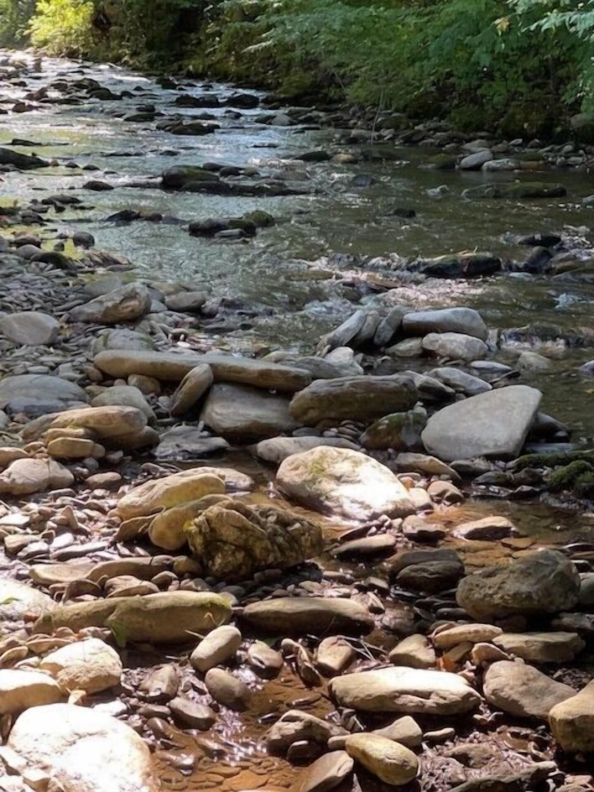 Ein felsiger Bach mit klarem Wasser, das über Steine fließt.