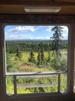 A window with a view of a forested landscape, including trees and a clear sky. - RV Rental #2 with mountain view perfect for couple (Soldotna)