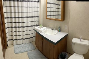 Combined shower/bathtub, hair dryer, towels, soap