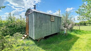 Eksteriør