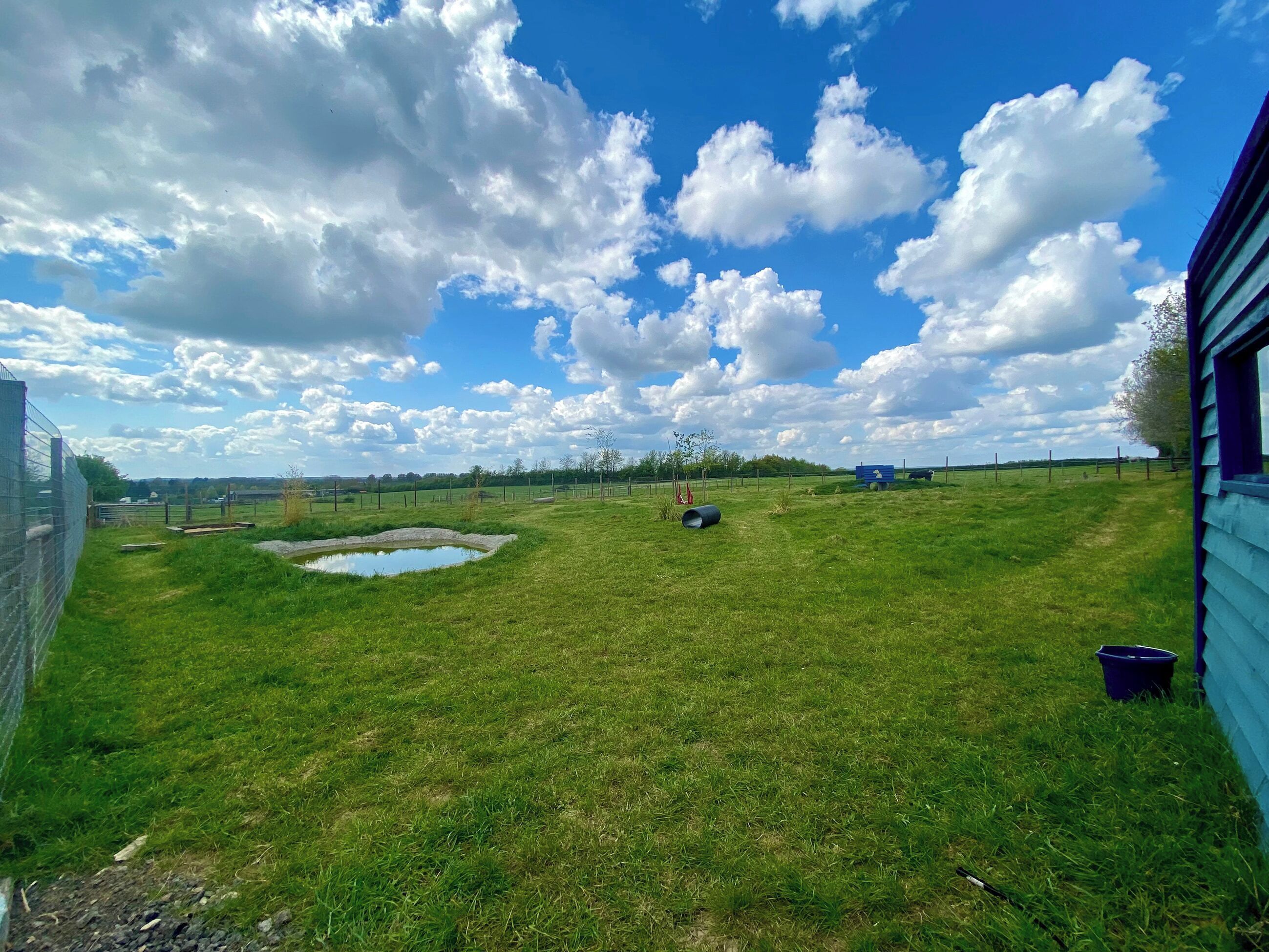 A grassy field with a small pond, a blue building, and a fence.
