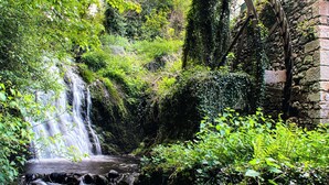 A waterfall in a lush, green environment with a stone wall and metal structure nearby.