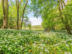 Property grounds - 3 bedroom accommodation in Blacknest, near Alton (Blacknest, near Alton)