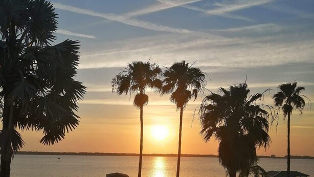A sunset view over a calm body of water with palm trees and a dock.